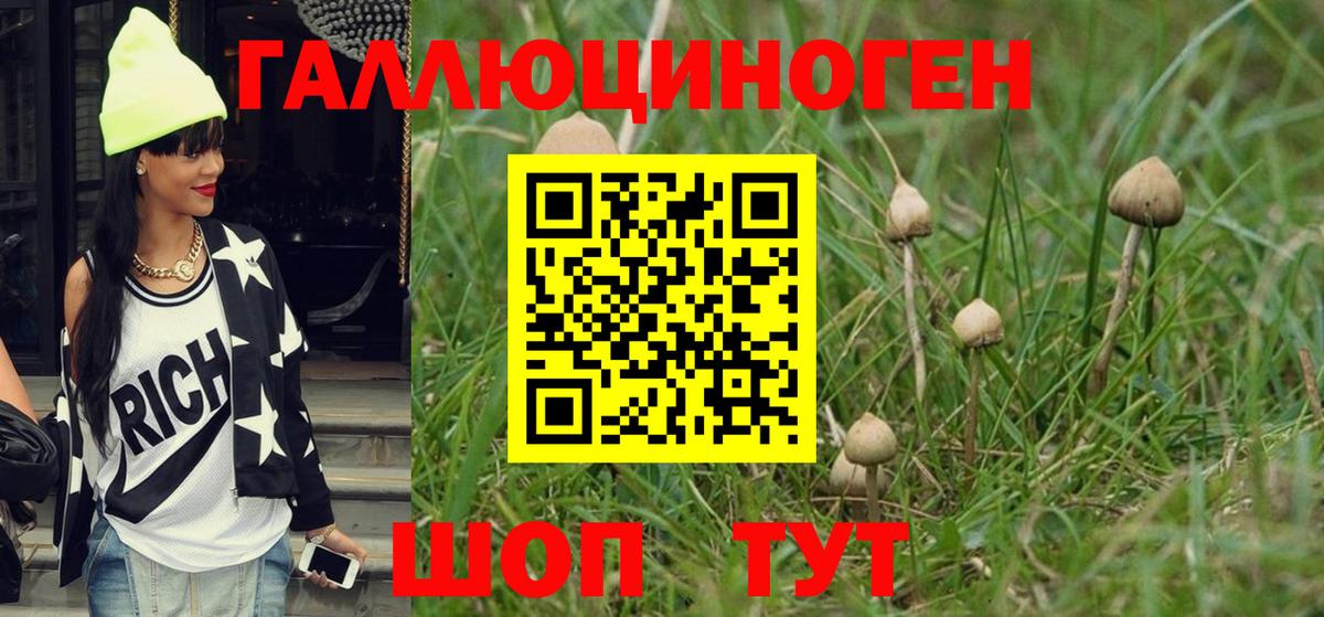 Псилоцибиновые грибы MAGIC MUSHROOMS  Псилоцибиновые грибы ЛСД  Вход с VPN  Усть-Джегута 