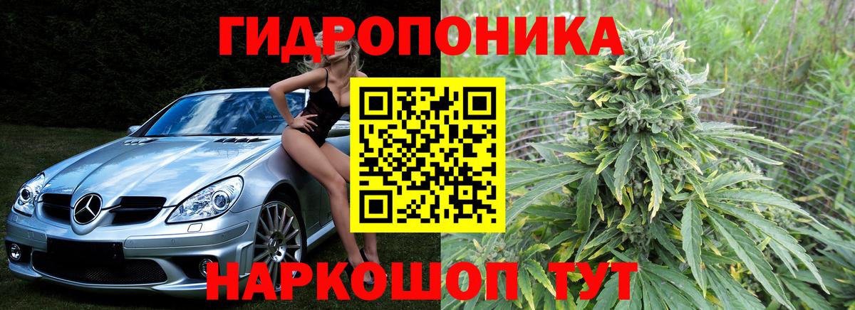 Марихуана план Усть-Джегута